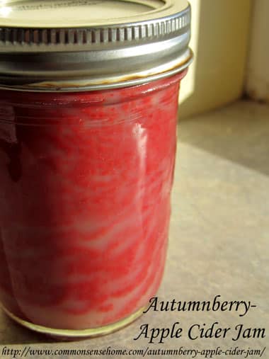 Autumnberry and Apple Cider Jam