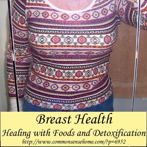 Breast Health – Healing with Foods and Detoxification