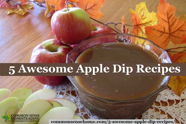 5 Awesome Apple Dip Recipes – Caramel, Chocolate, Nuts and Cheese