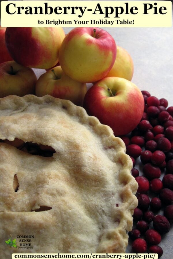 cranberry-apple pie with apples and cranberries