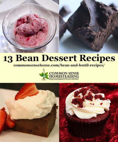 Bean and Lentil Recipes - Bean Desserts; Entrees; Side Dishes; Bean Chilis, Soups and Stews; Snacks, Dips and Appetizers with Beans, Bean Cooking Tips