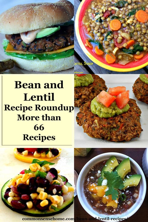 Bean and Lentil Recipes - Bean Desserts; Entrees; Side Dishes; Bean Chilis, Soups and Stews; Snacks, Dips and Appetizers with Beans, Bean Cooking Tips