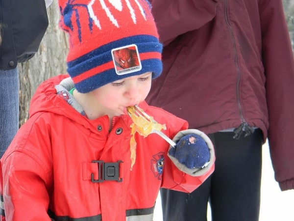 Enjoying maple sugar on snow