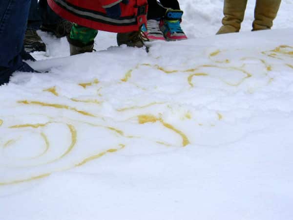 Maple sugar on snow