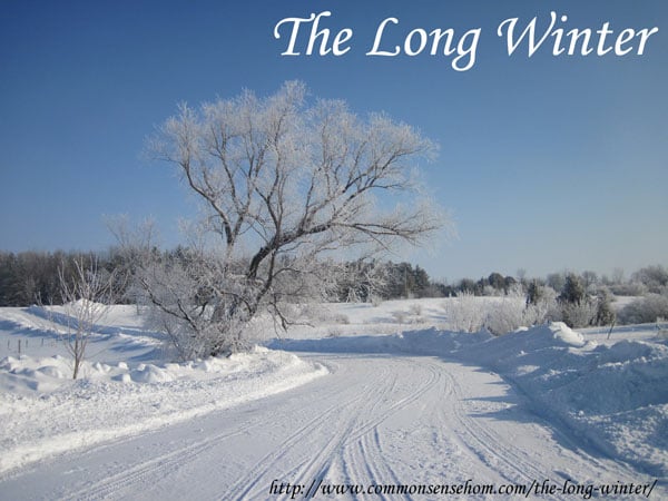 The Long Winter - images from a snow covered homestead