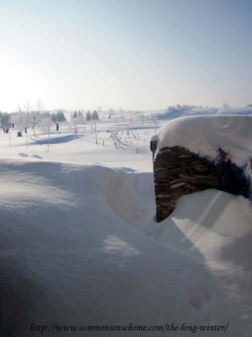 back-door-with-snow