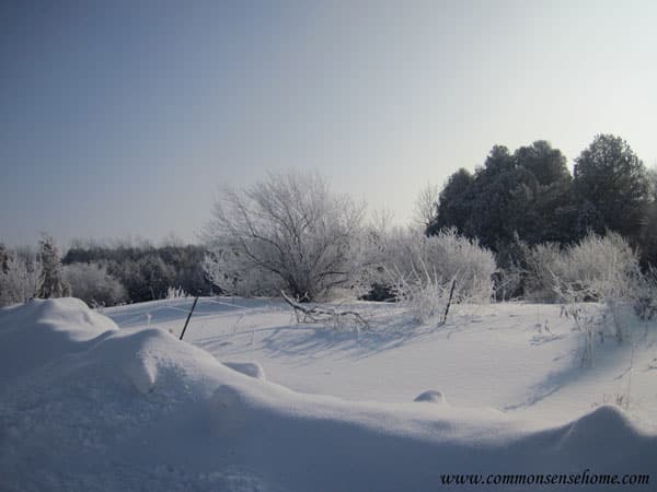 deep-winter-snow