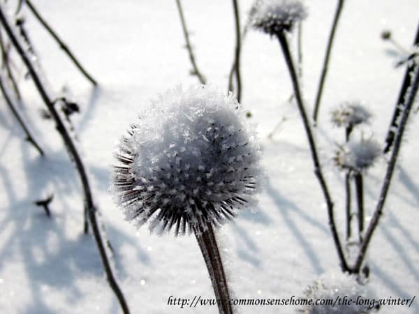 The Long Winter - Record Breaking Snow