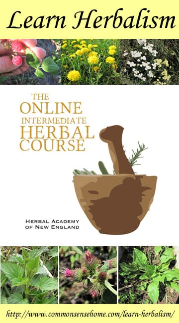 Learn Herbalism with the Herbal Academy