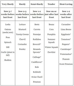 When Should I Start Seeds? Indoor and Outdoor Charts