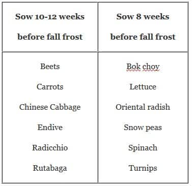 Direct Sow Or Transplant Chart