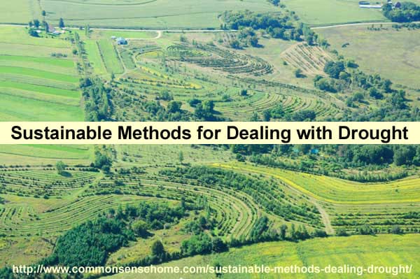 Sustainable Methods for Dealing with Drought