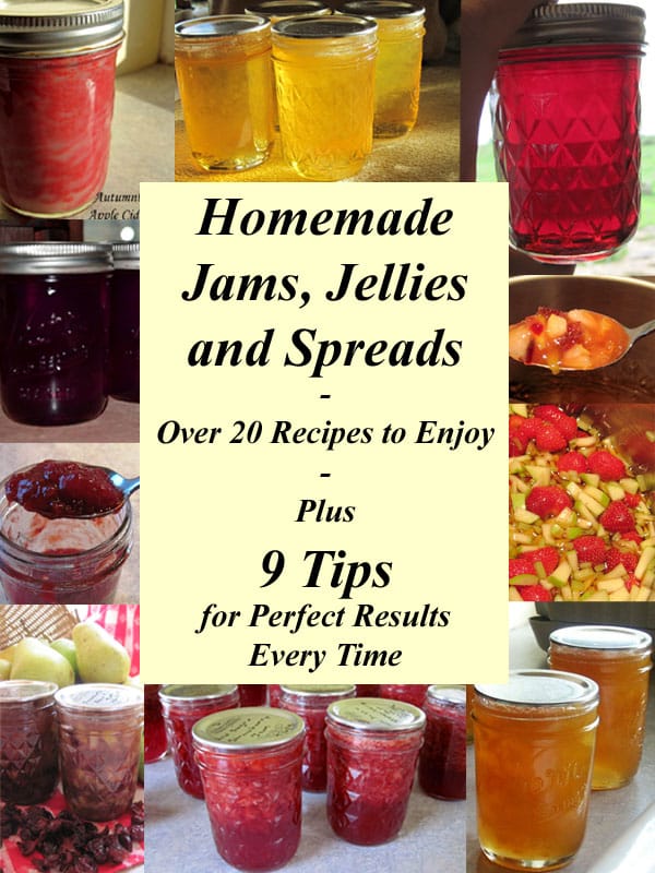 Homemade Jams, Jellies and Spreads - Over 20 Recipes to Enjoy - Plus 9 Tips for Perfect Results Every Time - Traditional, Low Sugar, No Added Sugar & Pectin