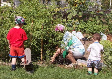 Harvesting tomatoes with the boys when my youngest was still in diapers