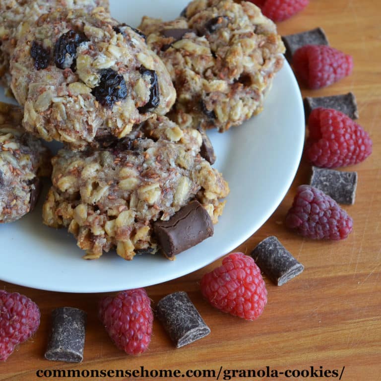 Chocolate Raspberry Granola Cookies – Honey Sweetened, GF Option