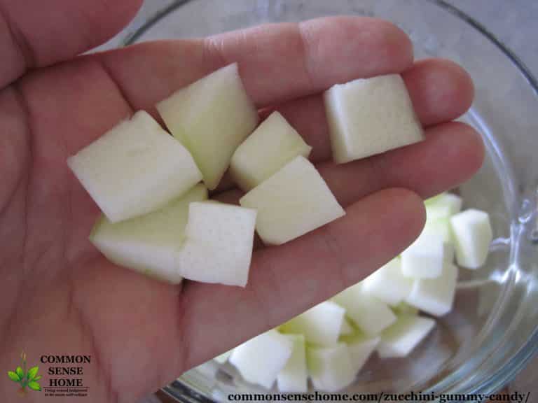 Zucchini Gummy Candy A Fun and Easy Zucchini Recipe