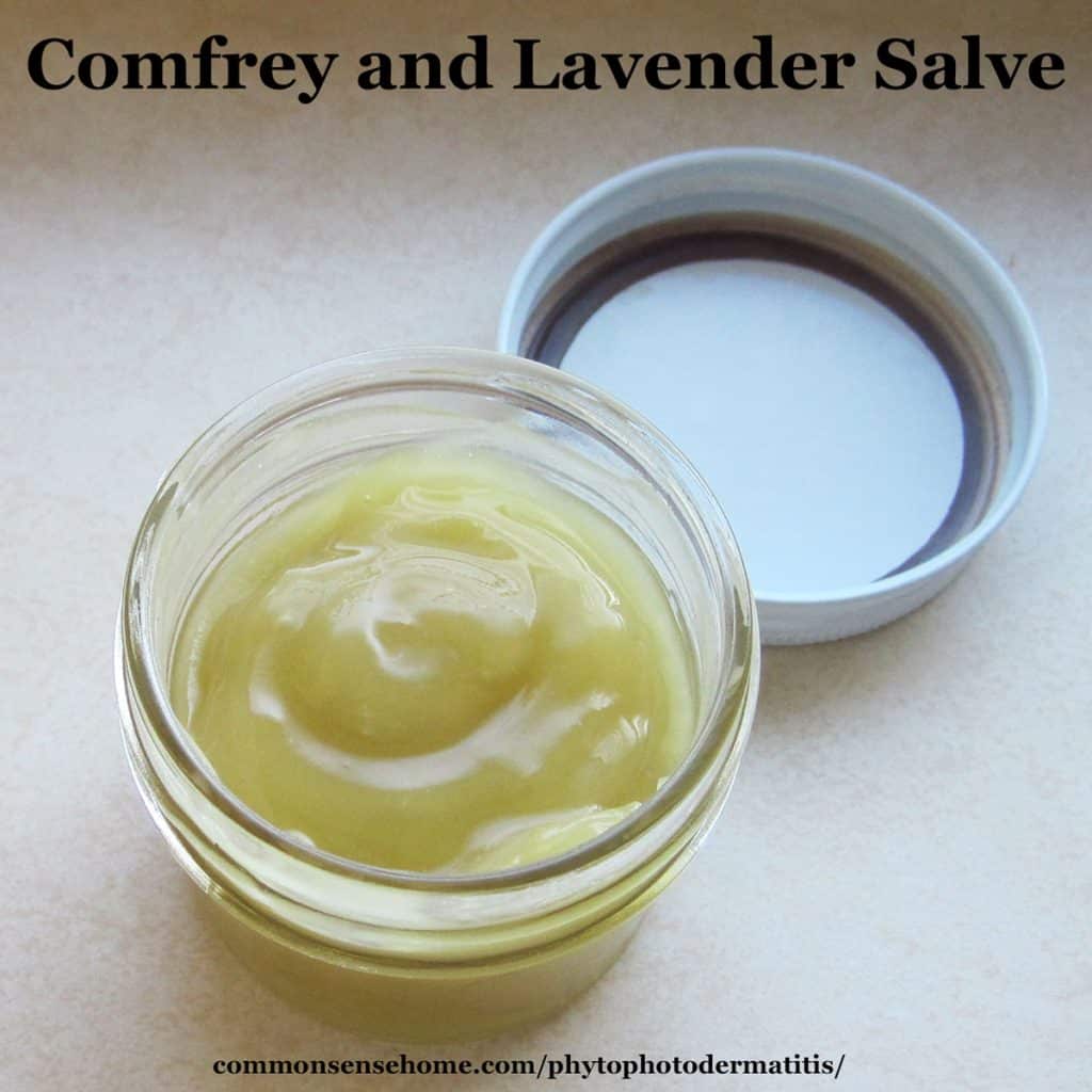 comfrey-lavender-salve