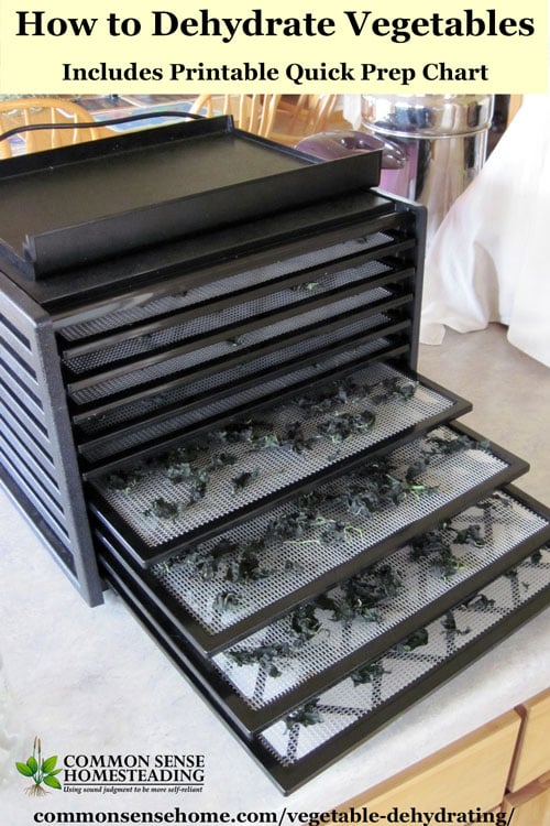 Vegetable Dehydrating is a great way to store veggies in less space with minimal equipment. Post includes printable chart with prep steps & drying times.