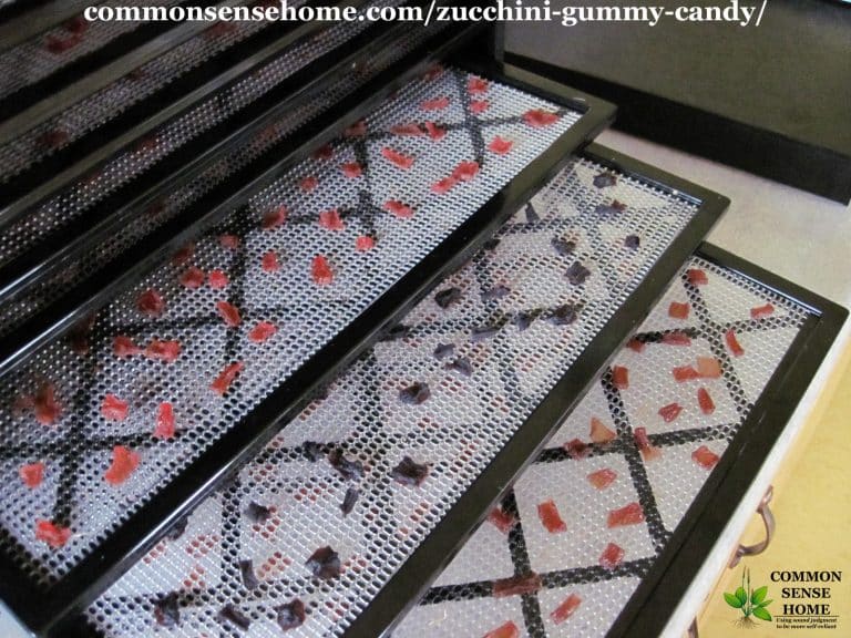 Zucchini Gummy Candy A Fun and Easy Zucchini Recipe