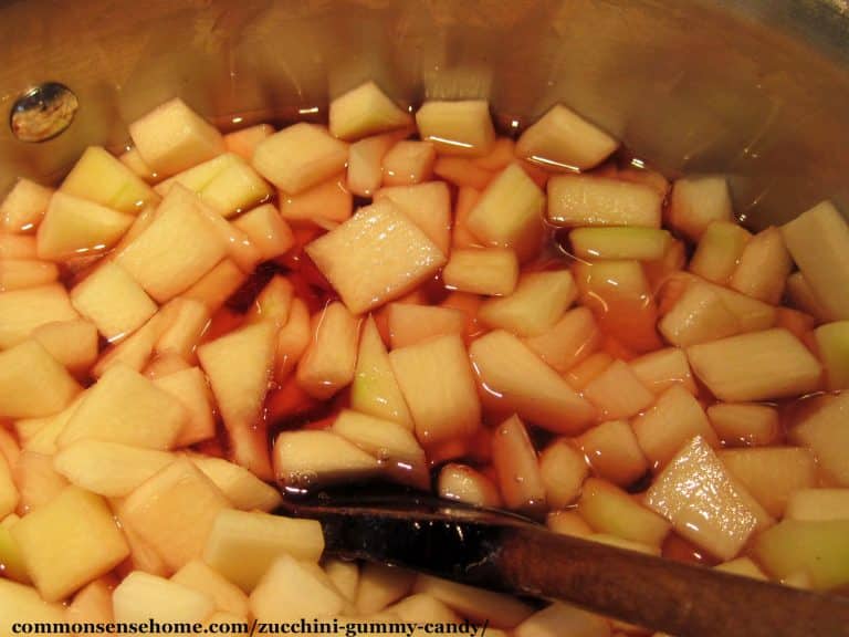 Zucchini Gummy Candy A Fun and Easy Zucchini Recipe
