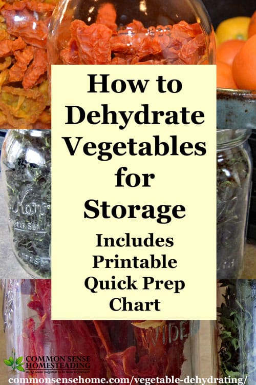 Dehydrating Vegetables-General Info Vegetable-dehydrating-2