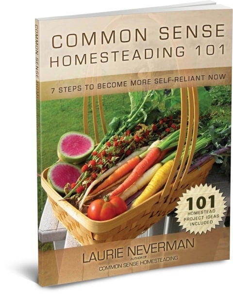 Homesteading-101 ebook 3D