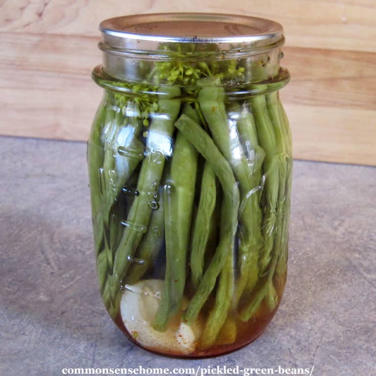 Pickled Green Beans – Quick and Easy Canning Recipe