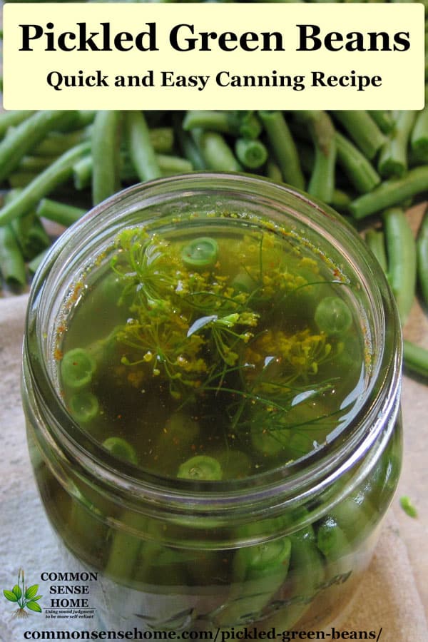 Pickled Green Beans Quick and Easy Canning Recipe