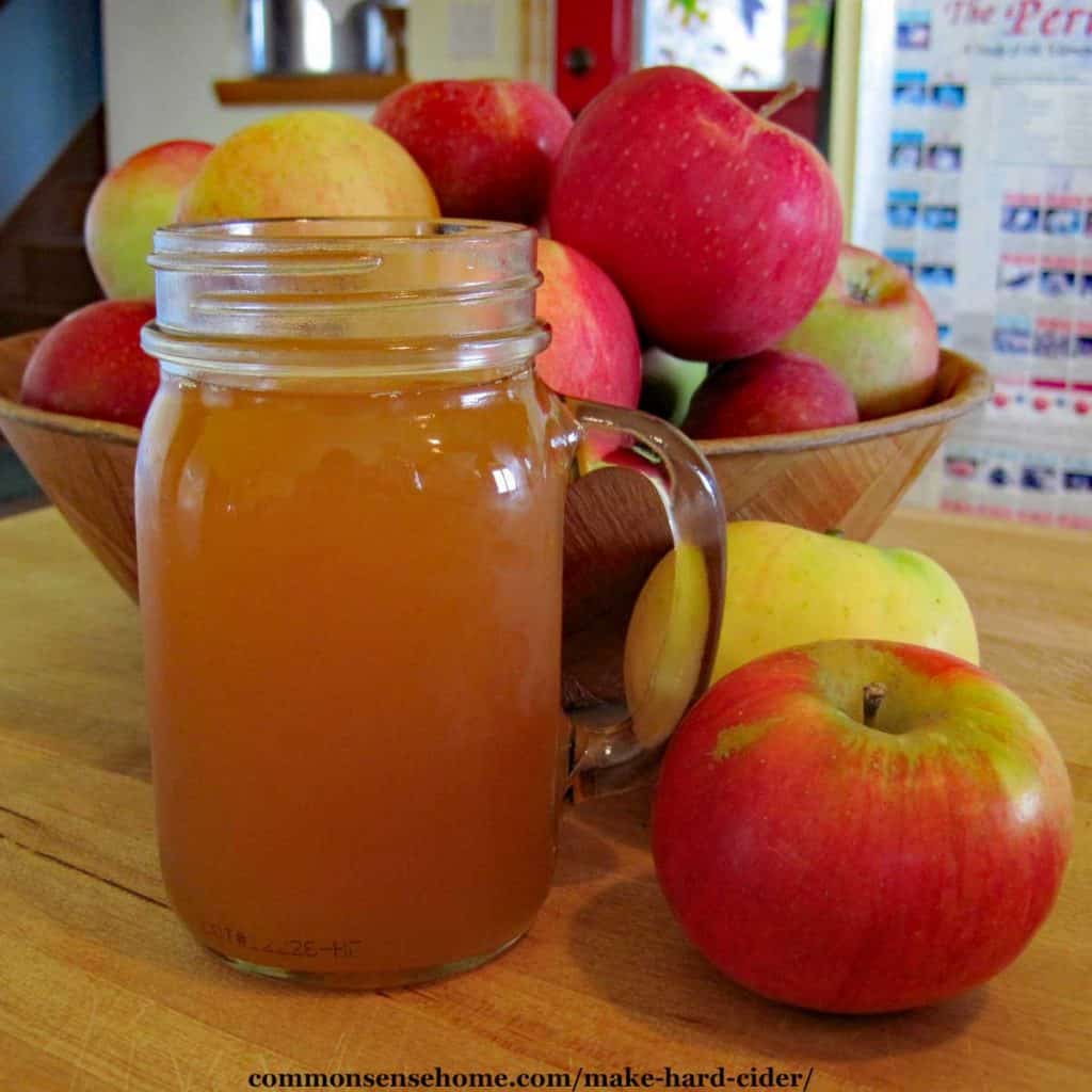 glass mug of hard cider with bowl of apples