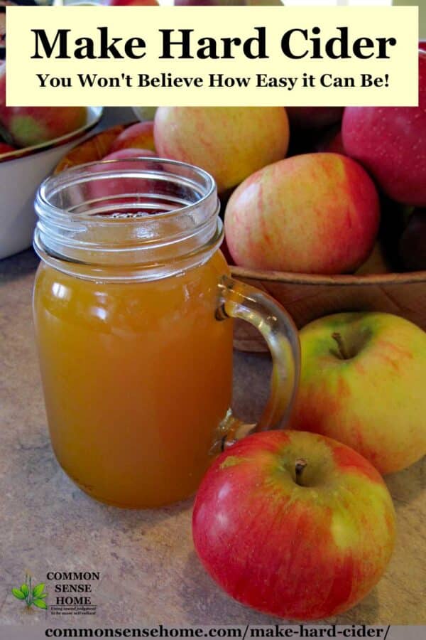 glass of hard cider with bowls of apples