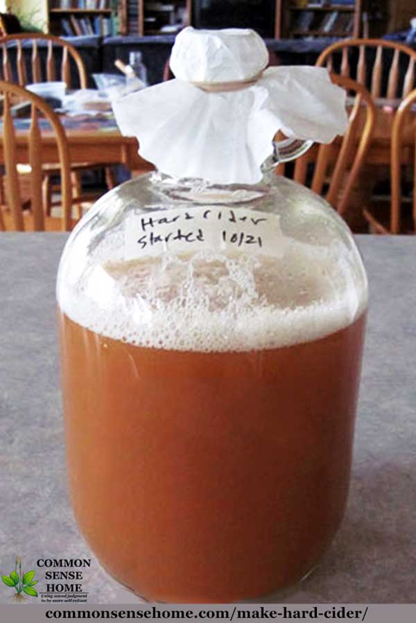 Making hard cider in a carboy