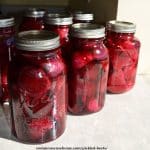 pickled beets