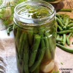 pickling dilly beans