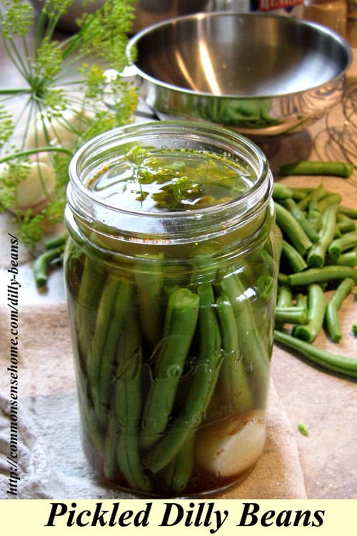 Canning Green Beans Recipe / how to can green beans | Canning recipes, Canning ... : To can or freeze, that is the question.