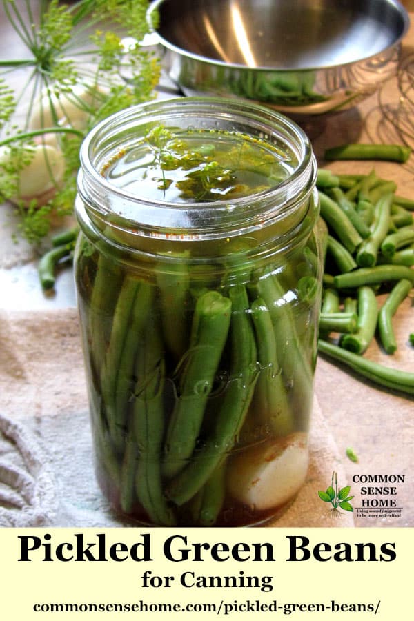 Pickled Green Beans Quick and Easy Canning Recipe