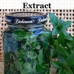 DIY Mint Extract - This easy chocolate mint recipe is a great way to use your home grown mint for cooking, baking, hot chocolate, gift giving and more.
