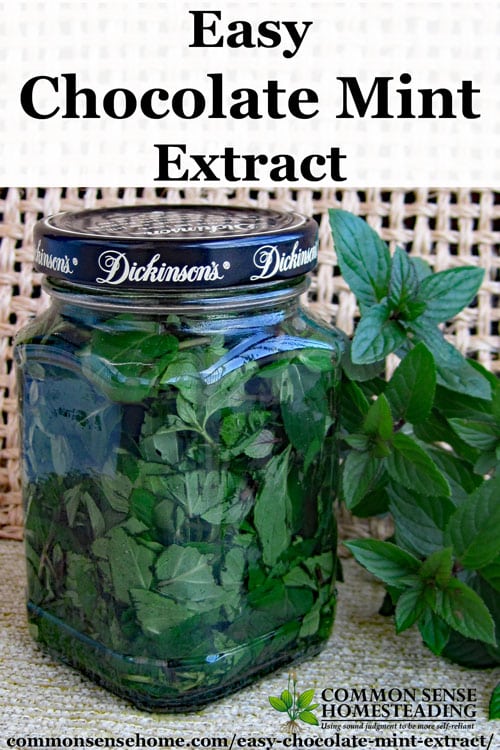 Homemade Mint Extract - This easy chocolate mint recipe is a great way to use your home grown mint for cooking, baking, hot chocolate, gift giving and more.