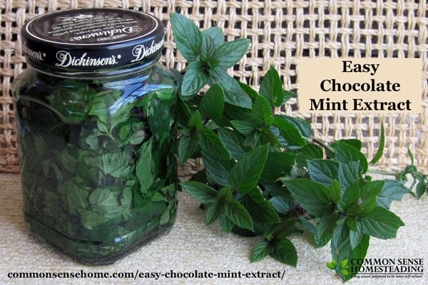 Homemade Mint Extract - This easy chocolate mint recipe is a great way to use your home grown mint for cooking, baking, hot chocolate, gift giving and more.