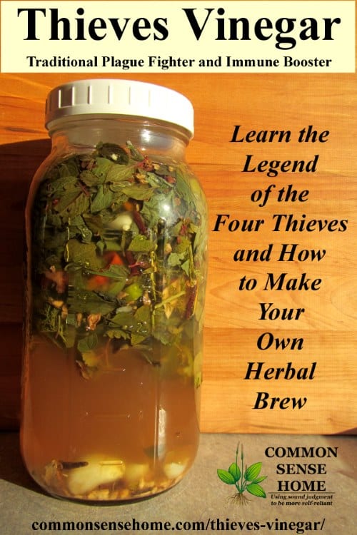 Home Remedies Thieves-vinegar-tall18-1