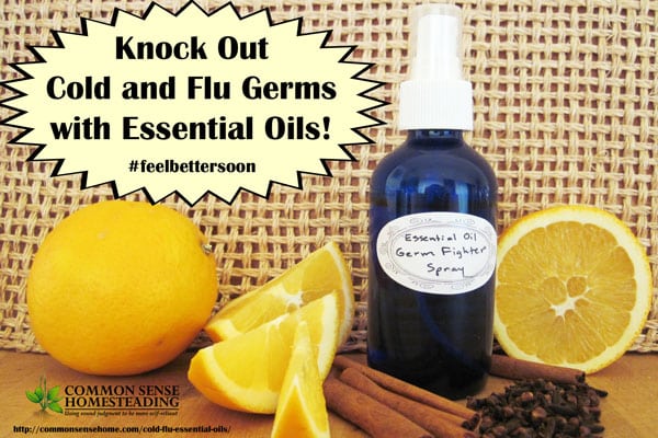 Knock Out Cold and Flu Germs with Essential Oils - How to use essential oils as germ fighters and immune system boosters for cold and flu season.