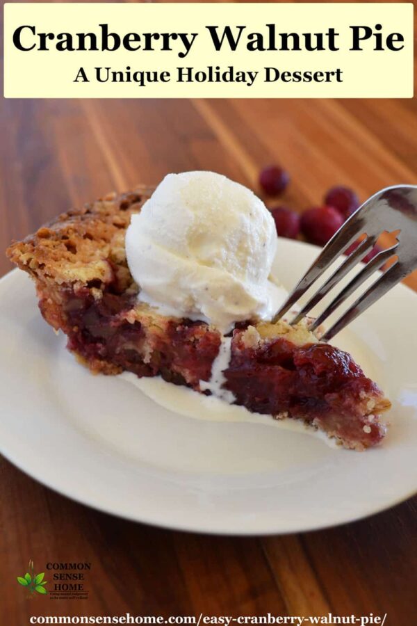cranberry walnut pie with ice cream on white plate
