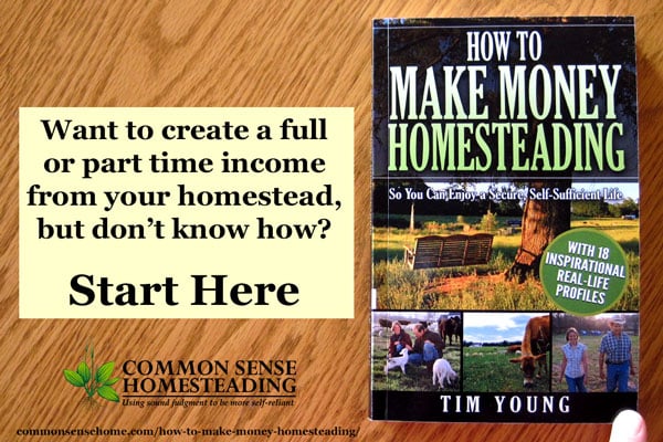 How to Make Money Homesteading So You Can Enjoy a Secure, Self-Sufficient Life - Many ideas for income streams, reducing expenses and creating your dreams