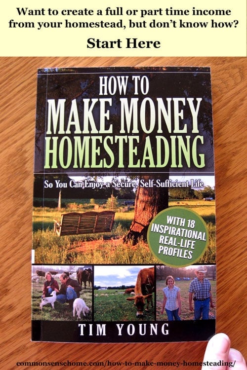 How to Make Money Homesteading So You Can Enjoy a Secure, Self-Sufficient Life - Many ideas for income streams, reducing expenses and creating your dreams