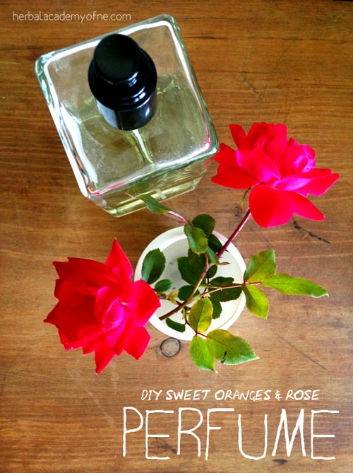 10 Easy Herbal Gifts to Enjoy Now, Plus One Gift That Lasts All Year Long - DIY Recipe Sweet Oranges and Rose Perfume