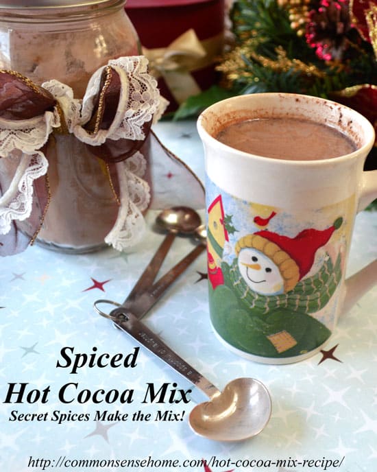 Homemade spiced hot cocoa mix recipe with a surprise ingredient. Make some up for a quick hot chocolate fix or to share as a special yet inexpensive gift.