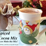 Homemade Spiced Hot Cocoa Mix Recipe