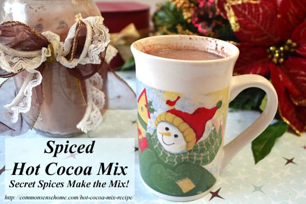 Homemade spiced hot cocoa mix recipe with a surprise ingredient. Make some up for a quick hot chocolate fix or to share as a special yet inexpensive gift.