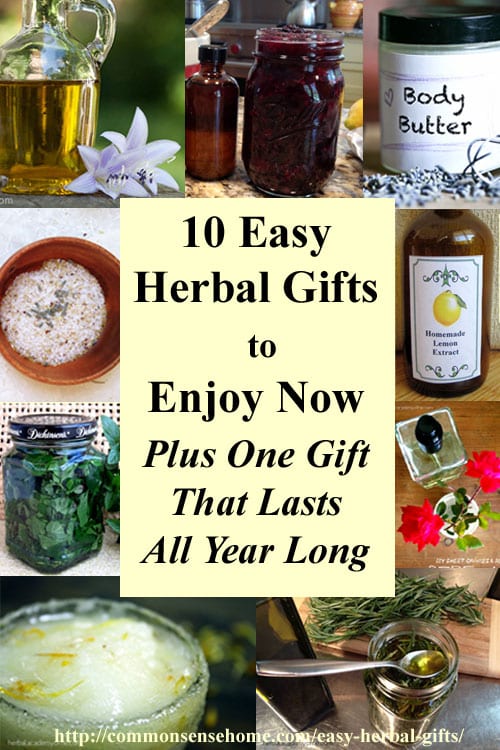 10 Easy Herbal Gifts to Enjoy Now, Plus One Gift That Lasts All Year Long