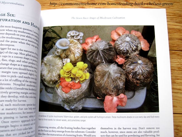 Organic Mushroom Growing Book