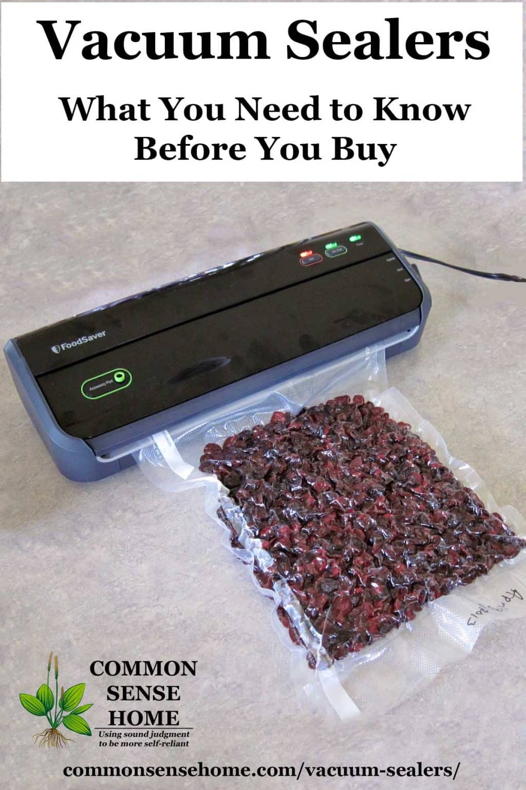 https://commonsensehome.com/wp-content/uploads/2014/12/vacuum-sealers.jpg